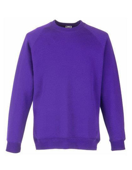 Kinder Raglan Sweatshirt ~ Purple 128