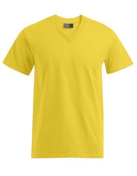 T-Shirt V-Ausschnitt Promodoro 3025