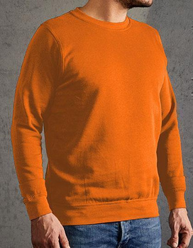 Herren Sweatshirt von Promodoro 2199