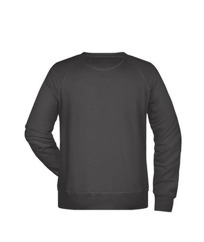 Herren Sweatshirt aus Bio-Baumwolle ~ graphit 3XL